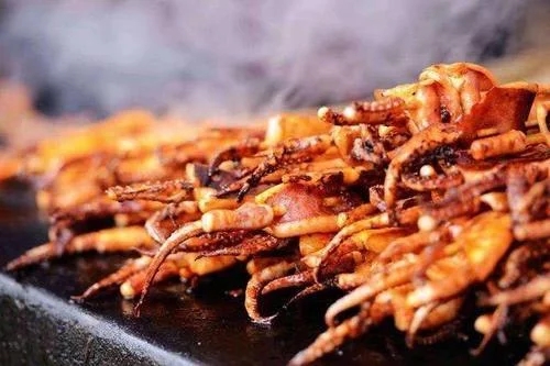 20180711084430131982.jpg t0158e23720e3f46151.webp.jpg