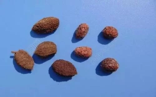 20180802093020117287.jpg t01a2bbc8e2351ff4ee.webp.jpg