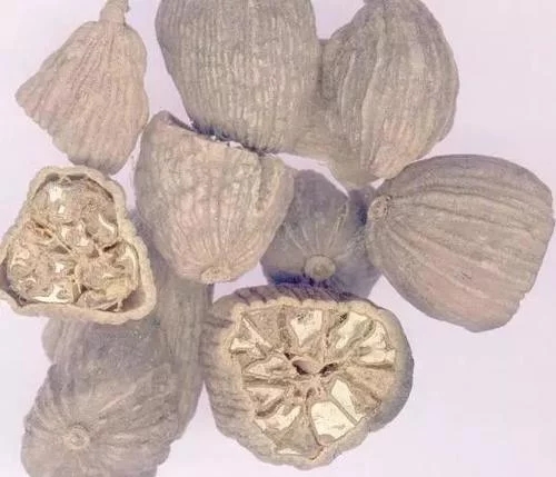 20180802093104817517.jpg t01a6ab3c1e5b794281.webp.jpg