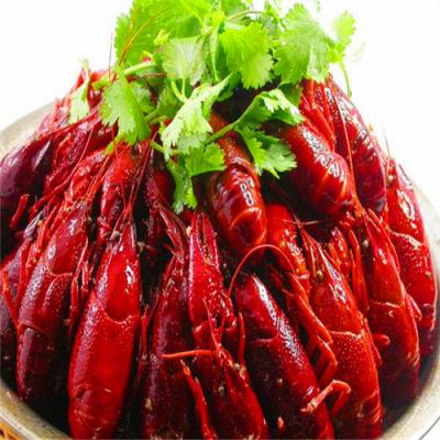 四川麻辣小龍蝦技術(shù)培訓哪里好？底料熬制方法