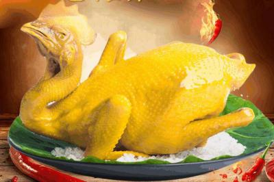 四川鹽焗雞技術(shù)培訓學校那里正宗？鹽焗雞的選材處理