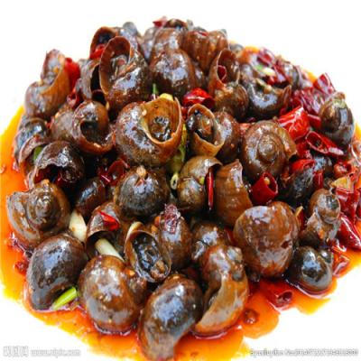 四川特色燒烤技術培訓哪里好?生蠔扇貝各種口味調制方法