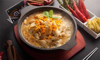 啵啵魚訓(xùn)練哪個(gè)好?環(huán)保綠色，健康衛(wèi)生