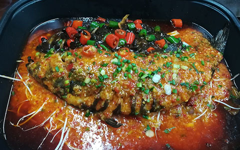 20240913162620262493.jpg 20240913162620262493.jpg