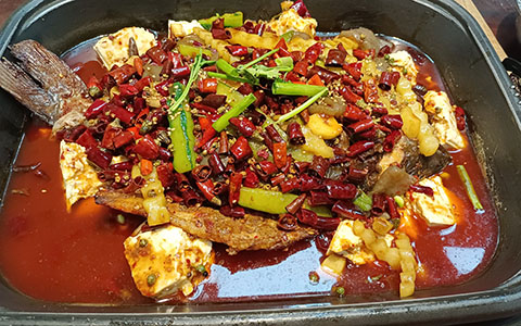 20240913163500414266.jpg 20240913163500414266.jpg