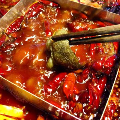 成都火鍋培訓多少錢？ 成都火鍋培訓多少錢？