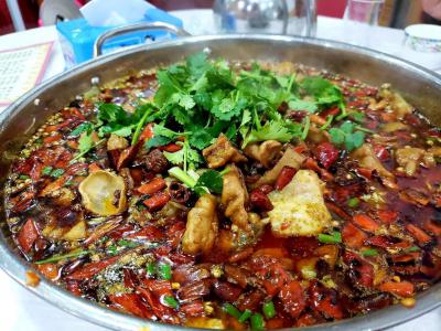 肥腸魚火鍋技術培訓哪里比較好？