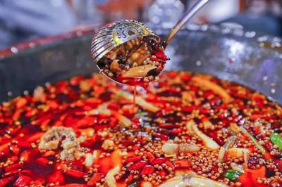 肥腸魚火鍋技術培訓哪里比較好？